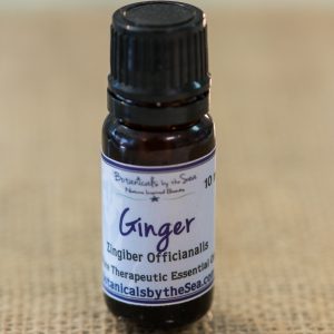 Ginger 10 ml.